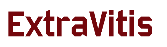 logo extravitis